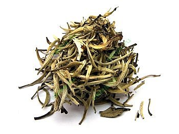 Bai Hao Yinzhen